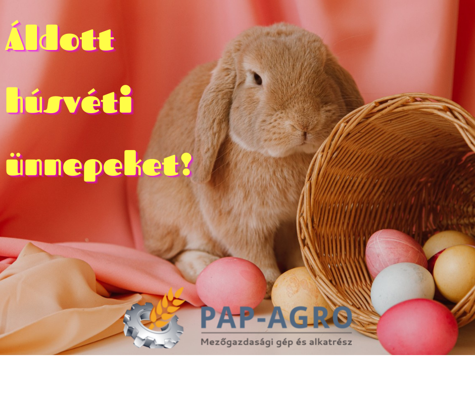 Áldott húsvéti ünnepeket! (3)