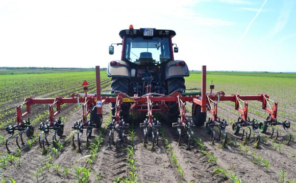 abk-008-8-soros-sorkozmuvelo-kultivator_022